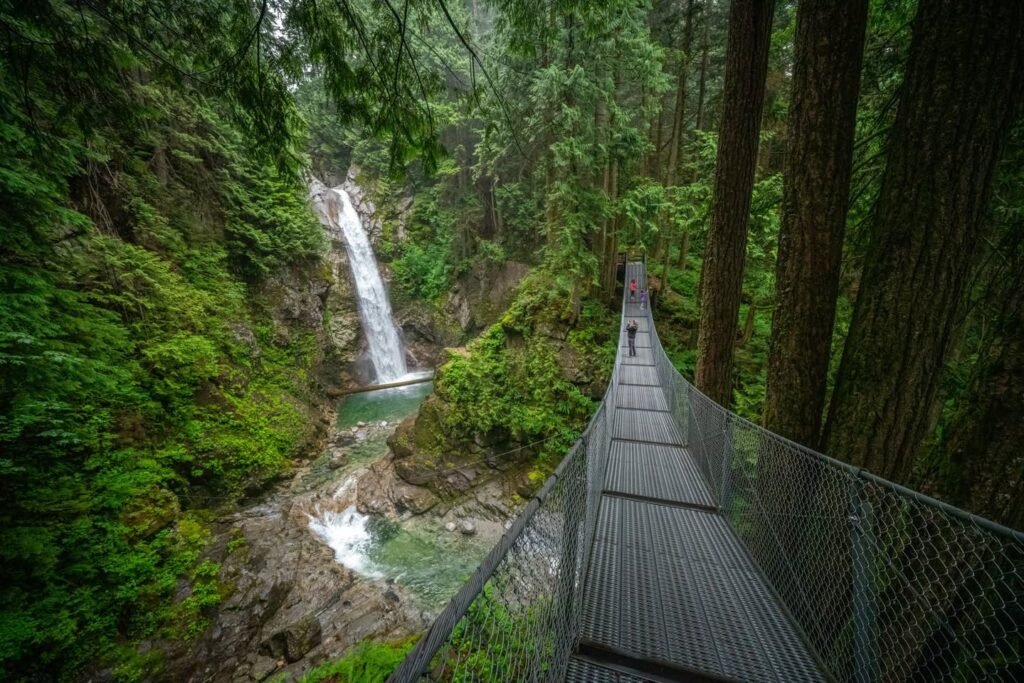 A suspension bridge winds through a lush, green forest with a waterfall cascading into a stream below.