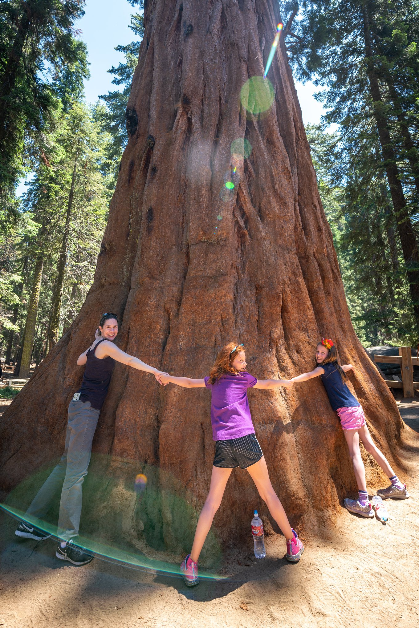 General Sherman Three people linking arms around the massive trunk of a giant sequoia tree in a forest setting.