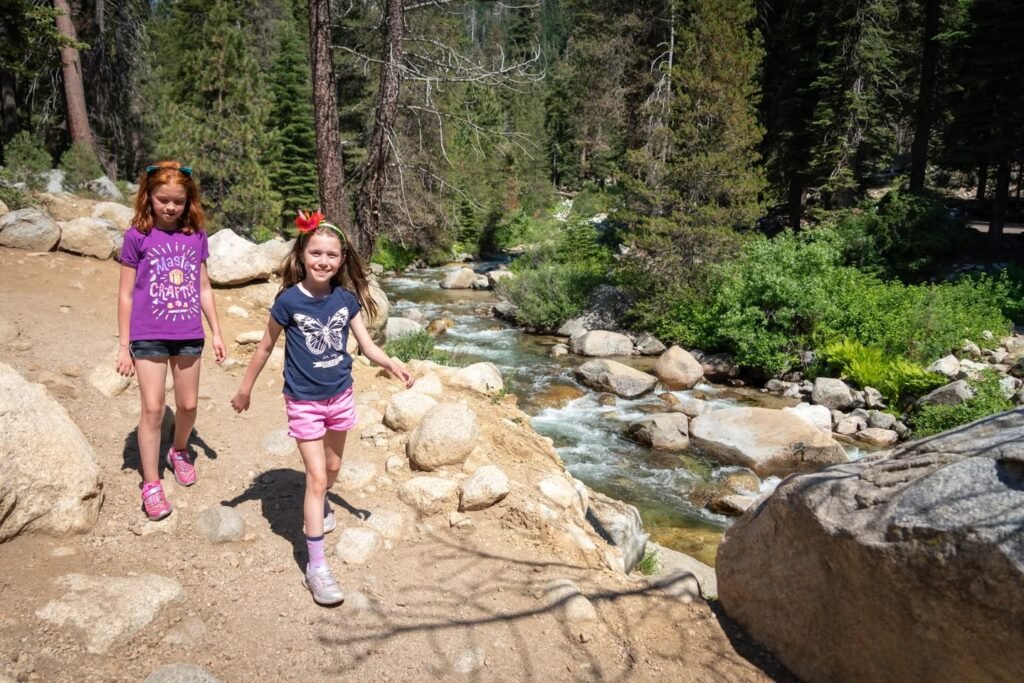 A family enjoying a hike along a rocky path beside a stream in a lush forest. This scene reflects the joy of exploring nature together in the Pacific Northwest.