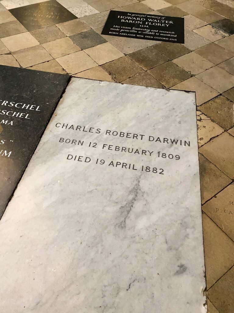 Close-up of a marble memorial plaque for Charles Robert Darwin set in a patterned stone floor, with adjacent black commemorative plaques.