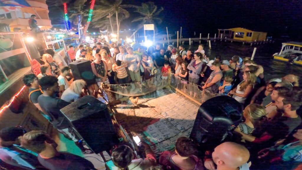 Crowd enjoying an open-air live music performance under string lights at a coastal nightclub at night.