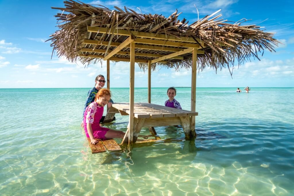 A thatched-roof table sits in turquoise ocean water with diners seated around it.