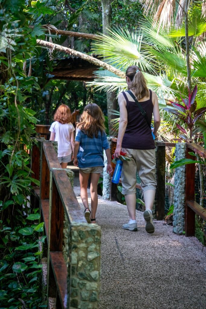A family walking along a raised jungle path surrounded by lush tropical vegetation and palm trees. Birds can be seen in the dense foliage.