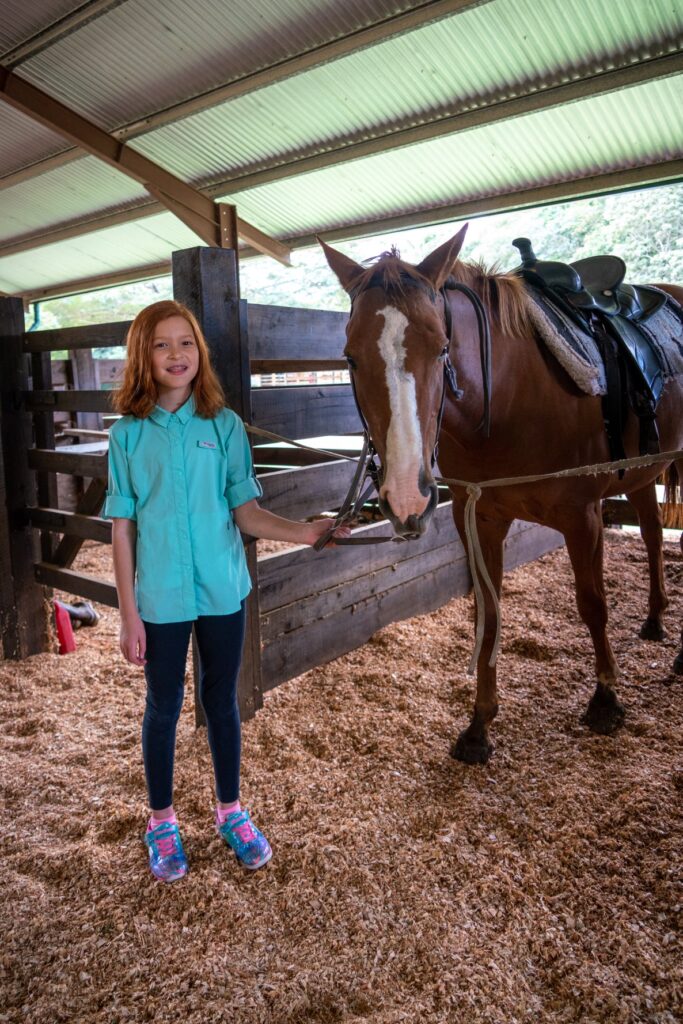 A person stands next to a saddled brown horse in a rustic barn. The barn floor is covered with wood shavings under an overhead shelter.