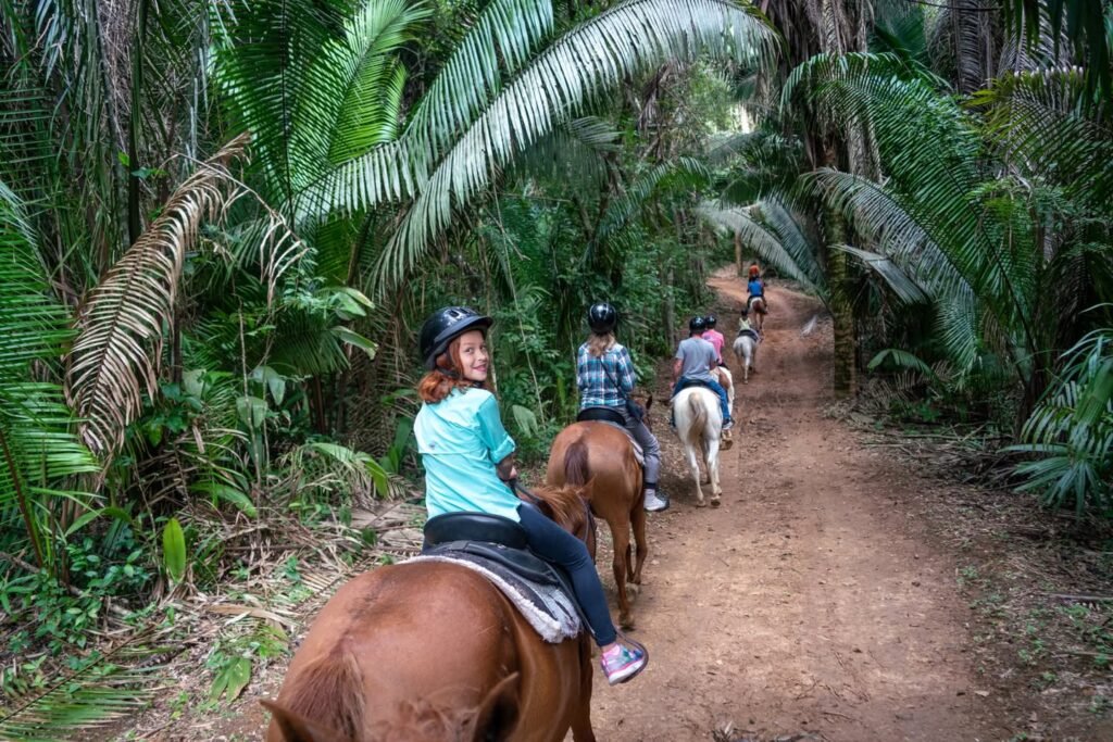 A group rides horses along a dirt trail surrounded by dense palm and fern vegetation.