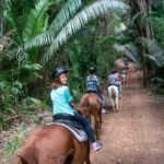 Belize Day 7 A group rides horses along a dirt trail surrounded by dense palm and fern vegetation.
