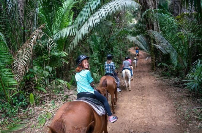 A group rides horses along a dirt trail surrounded by dense palm and fern vegetation.
