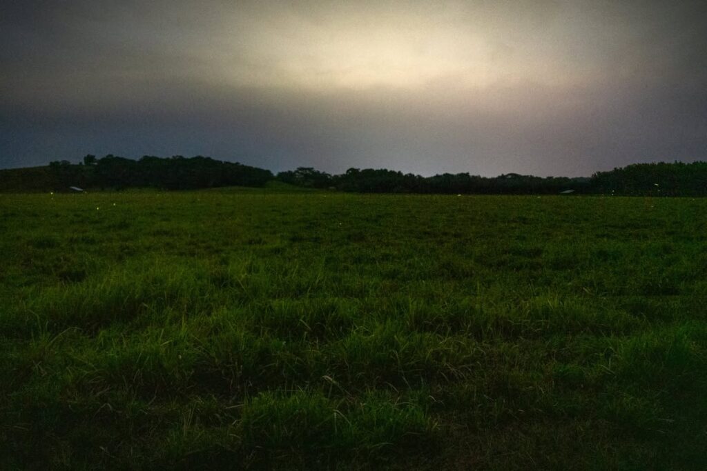 Sweeping view of a lush green field under heavy, dramatic clouds, capturing the raw beauty of nature's mood shifts.