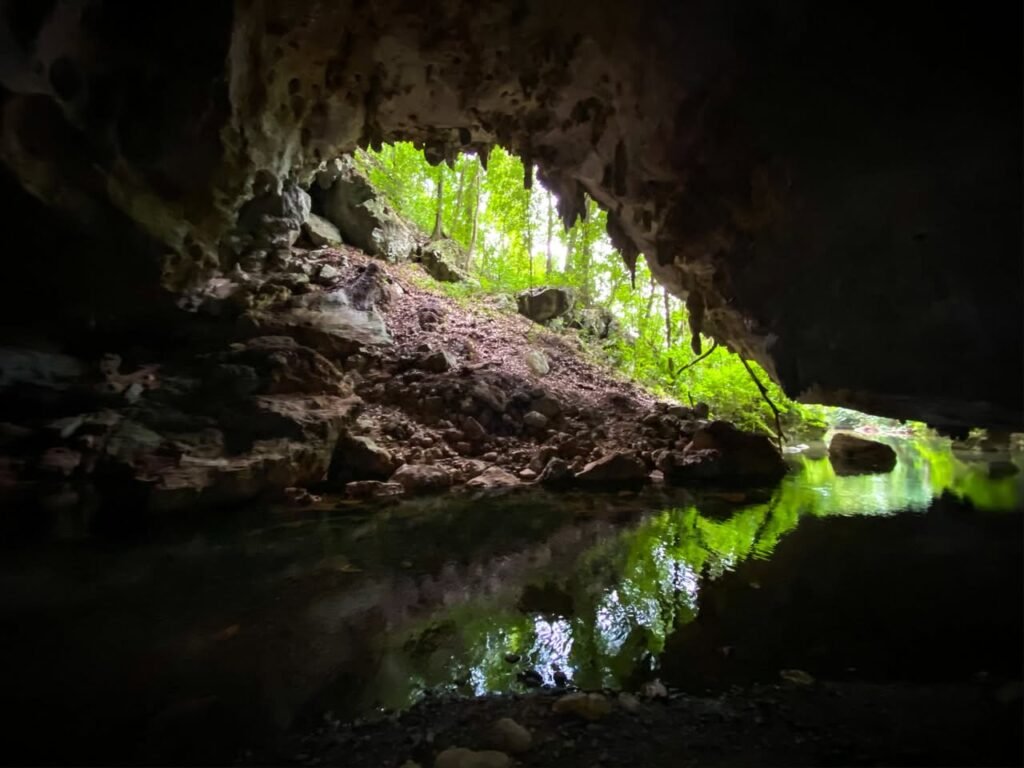 Dark cave entrance framing vibrant green foliage and a calm pool of water reflecting the intricate rock formations and light.