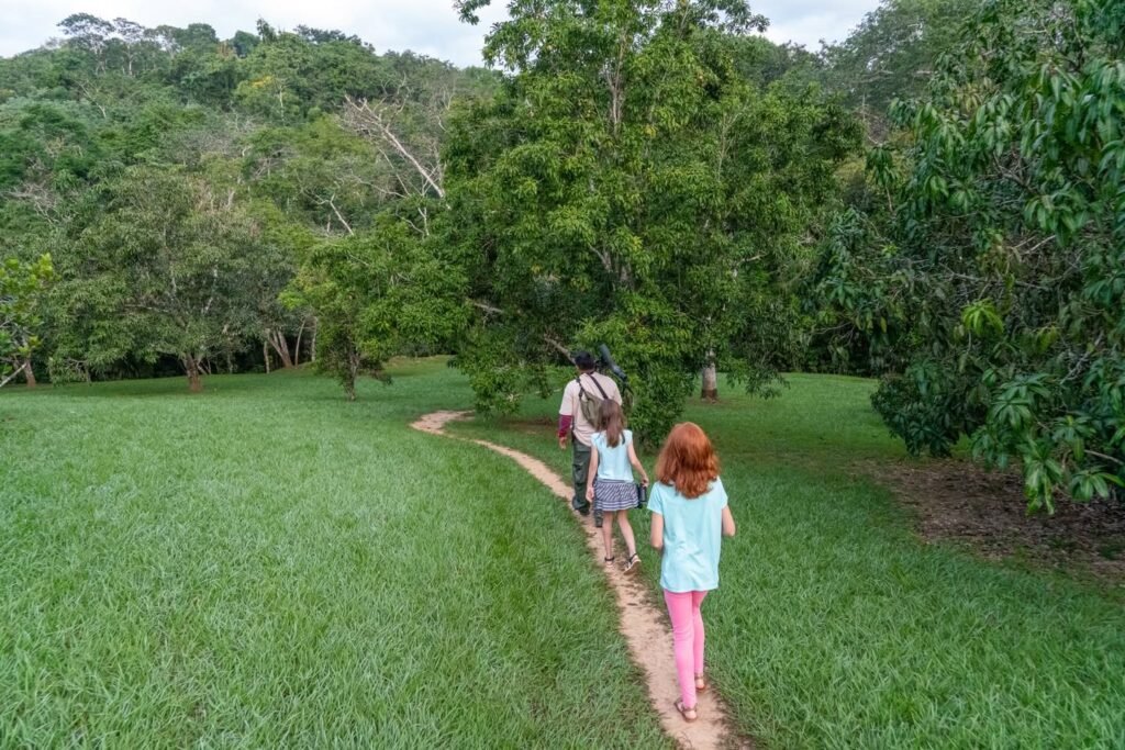 People walking on a dirt path through a green meadow with dense trees surrounding the area.