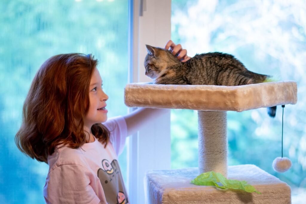 A child pets a cat perched on a cat tree by the window.
