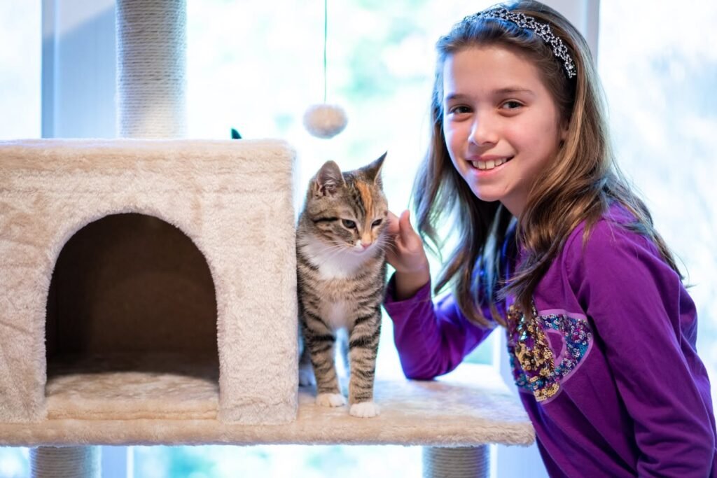 A smiling girl gently pets a small tabby kitten perched on a cat tree platform. The scene is set indoors with a bright, natural window light in the background.