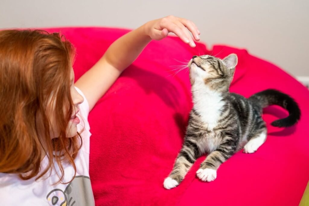 A child with red hair reaches out to pet a tabby cat lying on a bright pink cushion.
