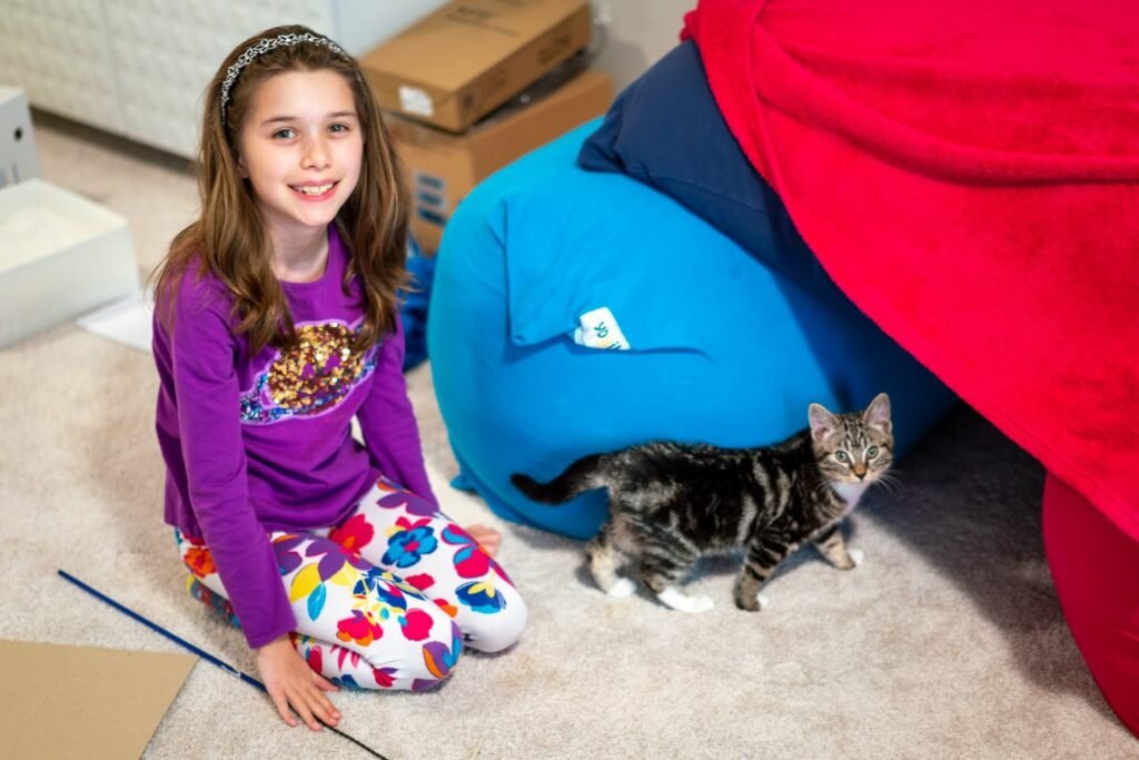 A young person sits on a carpeted floor playing with a fluffy tabby kitten next to a red sofa and blue cushion.
