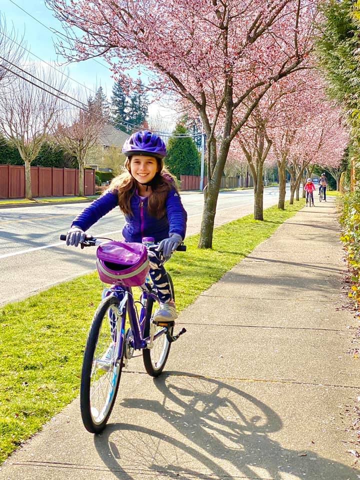 Cycling under vibrant pink cherry blossoms on a sunny day in Pacific Northwest neighborhood.