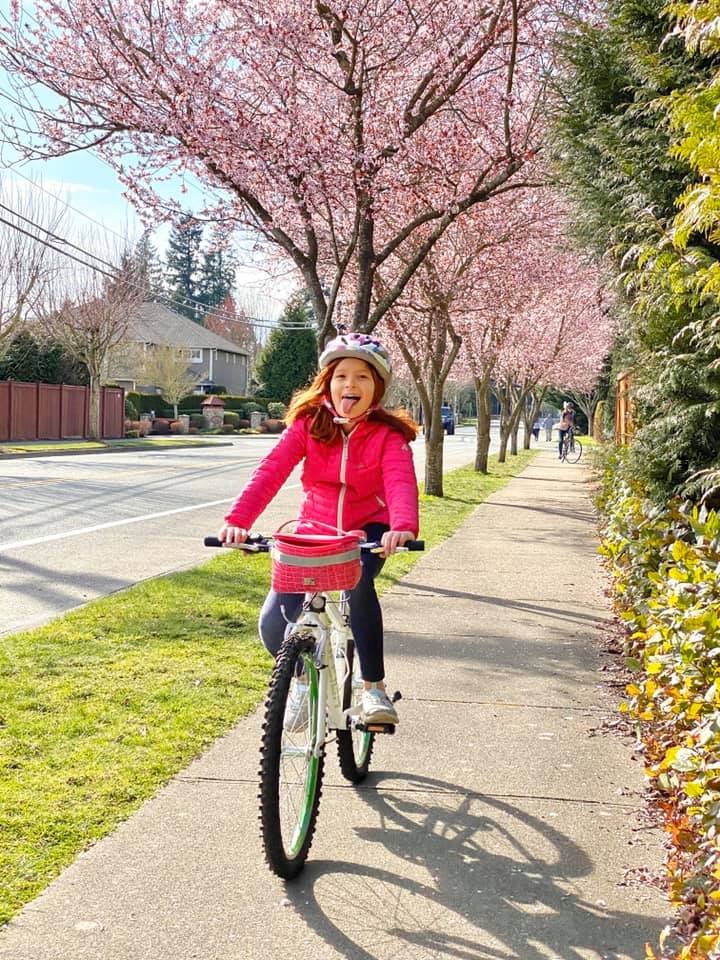 A child rides a bicycle on a sunny sidewalk lined with blooming cherry blossom trees.