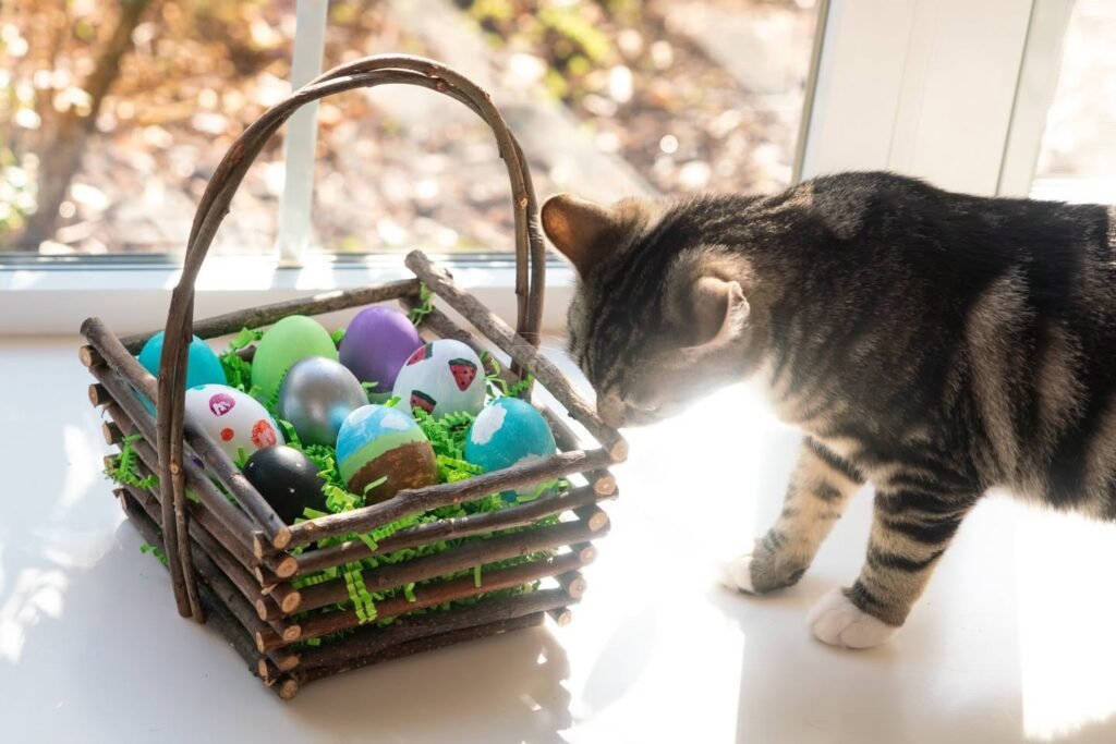 A cat investigating a rustic Easter basket filled with colorful eggs on a sunny day. The basket is made of twigs and sits on a white surface.