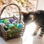 A cat investigating a rustic Easter basket filled with colorful eggs on a sunny day. The basket is made of twigs and sits on a white surface.