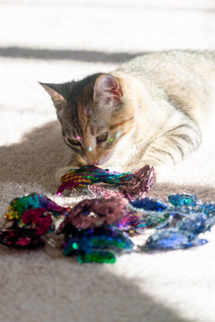 A tabby cat intently examines colorful fabric scraps and embroidery floss on a soft rug.