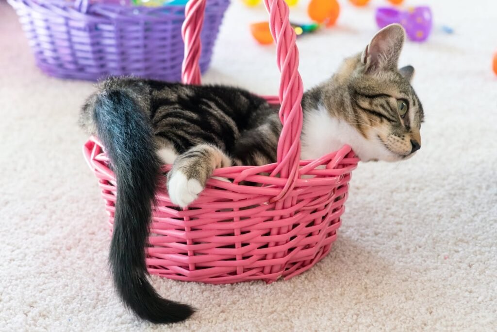 A tabby kitten rests comfortably inside a pink woven basket. A purple Easter basket is visible in the background.