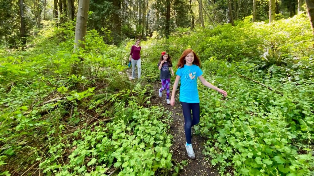 People hiking on dirt paths surrounded by lush green forest foliage.