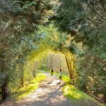 Happy Easter Two people walking a wooded trail dappled with golden sunlight.