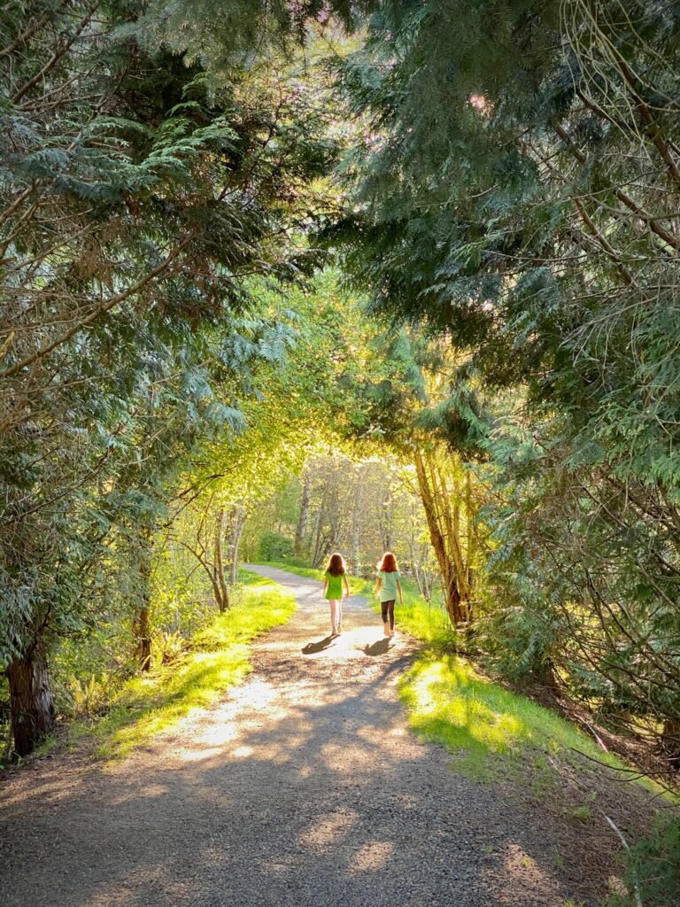 Two people walking a wooded trail dappled with golden sunlight.