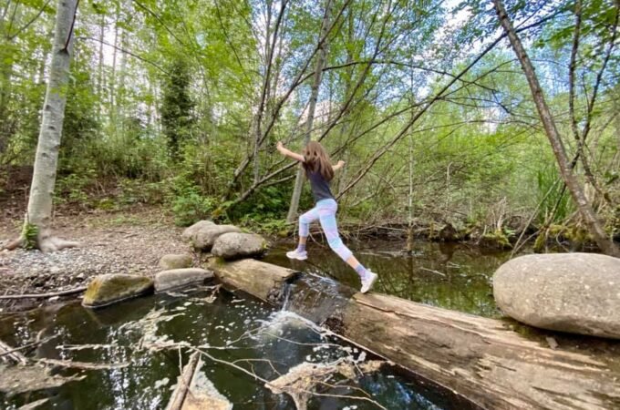 A nature enthusiast carefully crosses a log bridge over a clear stream. A dense forest of birch trees surrounds the path in the Pacific Northwest.