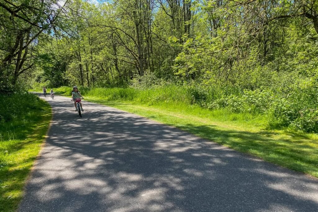A cyclist rides along a paved trail winding through a sun-dappled forest.