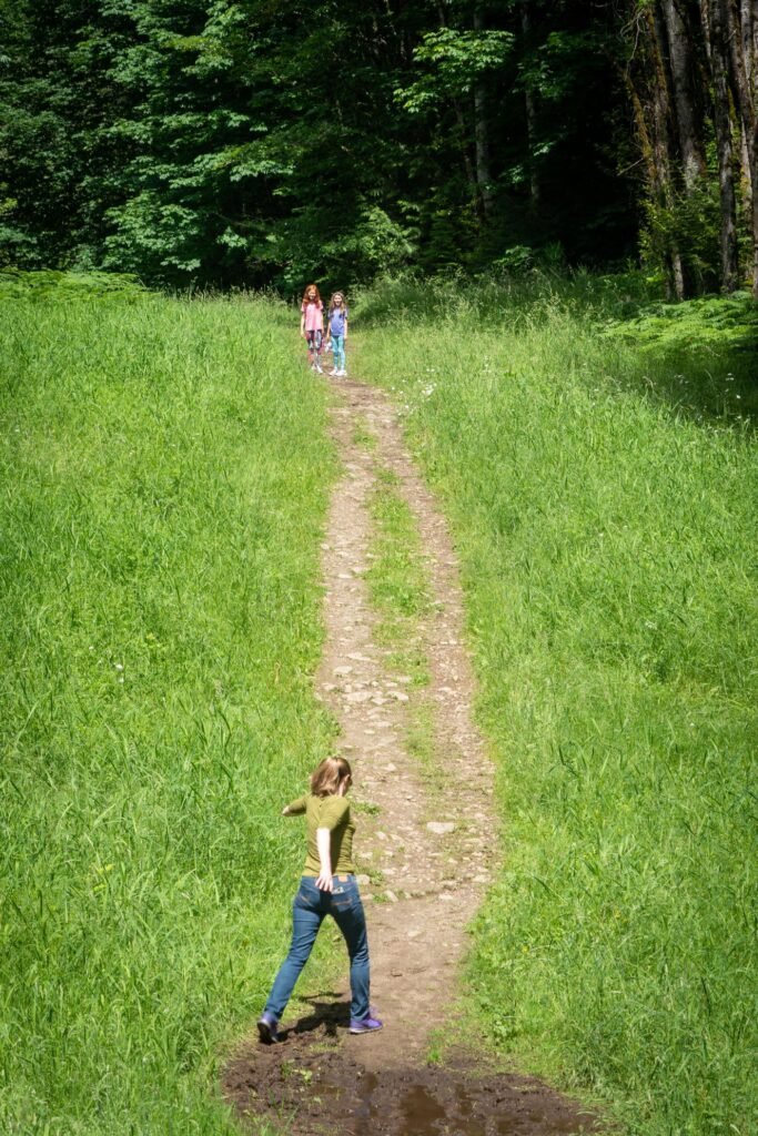 A narrow dirt footpath winds through a lush green meadow toward a dense forest. Hikers stroll along this scenic nature trail.