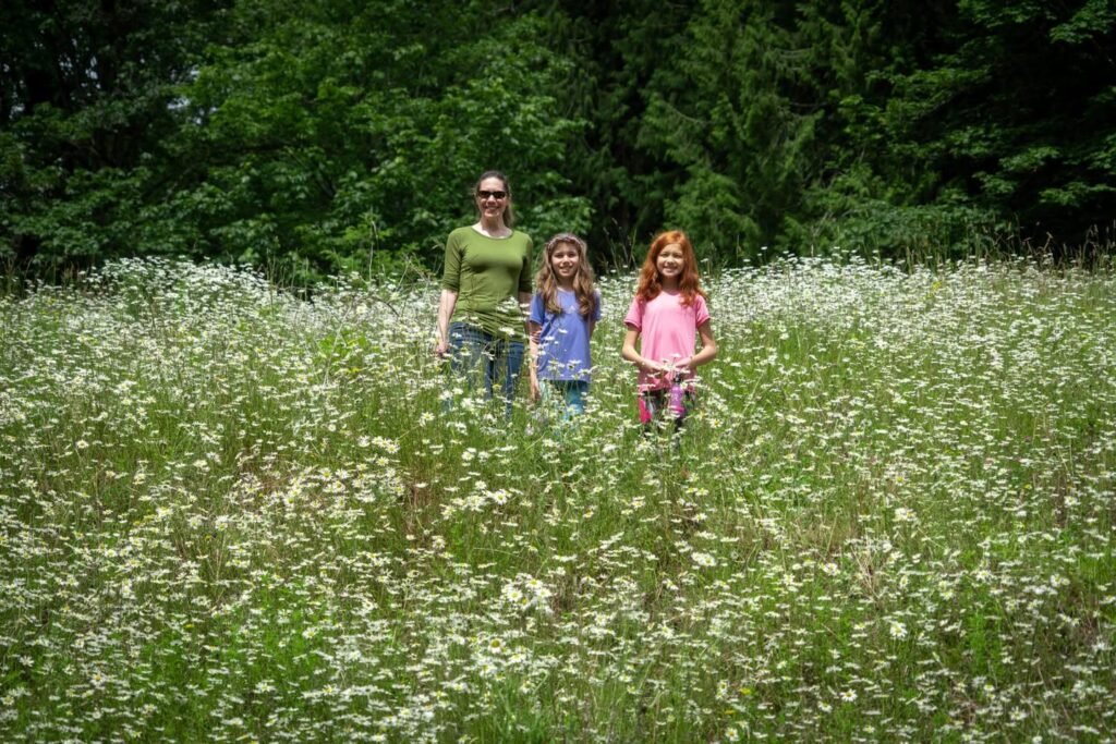 A family of three strolls through a field filled with white wildflowers. The scene is framed by light green foliage and tall evergreens.