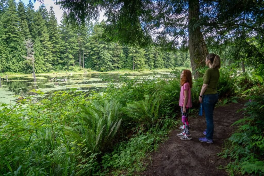 Two people observing a serene pond and ferns along a Pacific Northwest forest hiking trail.