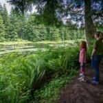 Two people observing a serene pond and ferns along a Pacific Northwest forest hiking trail.