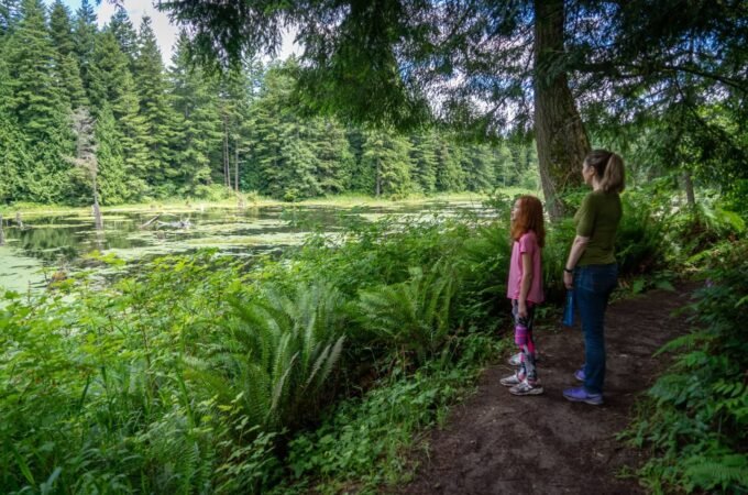 Two people observing a serene pond and ferns along a Pacific Northwest forest hiking trail.