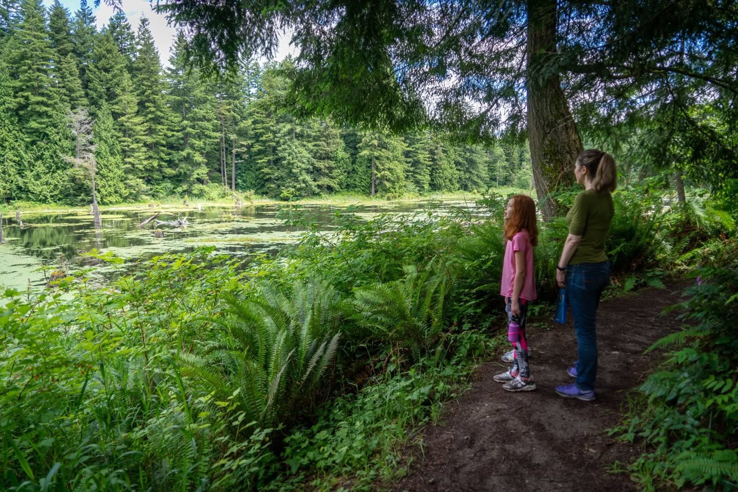Lord Hill Park Two people observing a serene pond and ferns along a Pacific Northwest forest hiking trail.