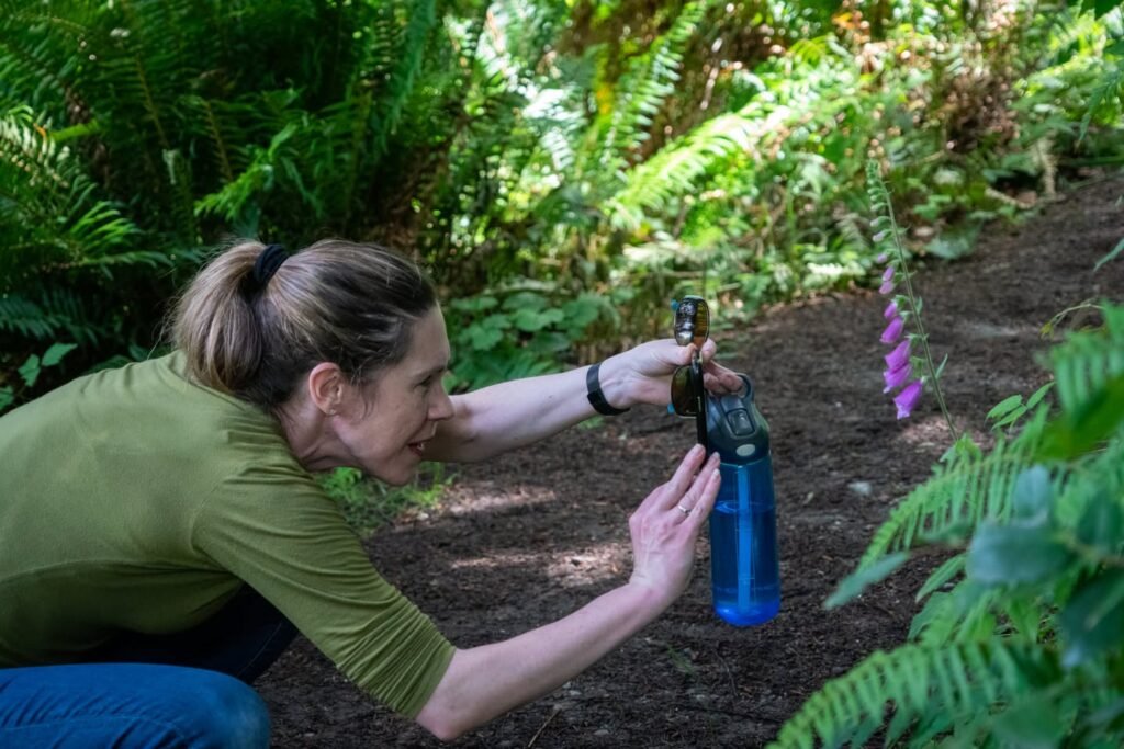 A person crouching among lush ferns to photograph a small purple flower. The setting is rich with green vines and dark soil.