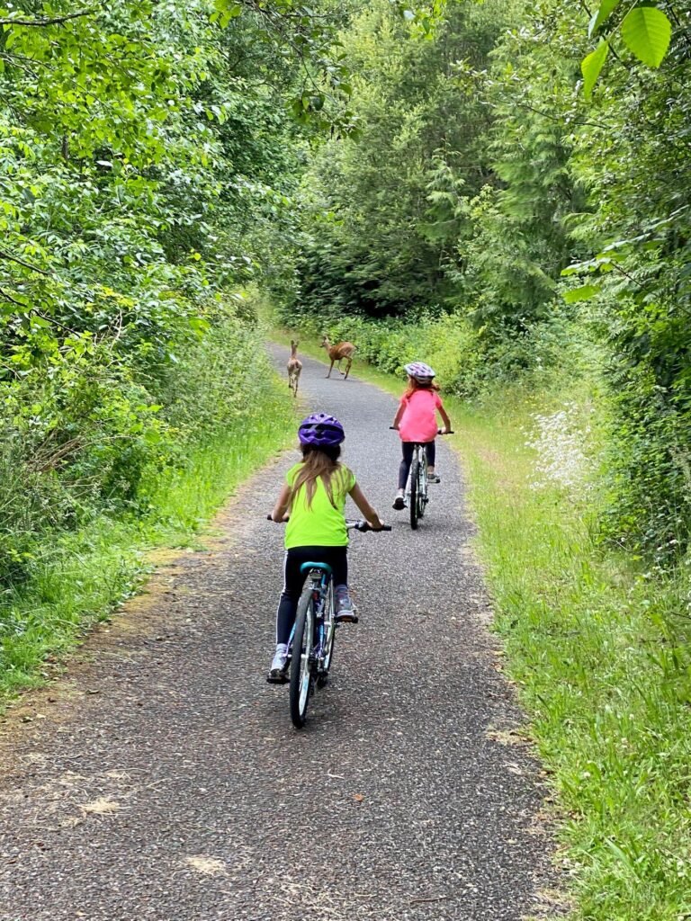 Children wearing helmets ride bikes on a gravel trail surrounded by dense green foliage. Dogs run ahead on the path in a wooded area.