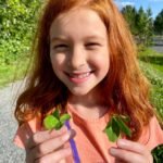 A young child is holding a small branch of vibrant red leaves outdoors on a sunny day.