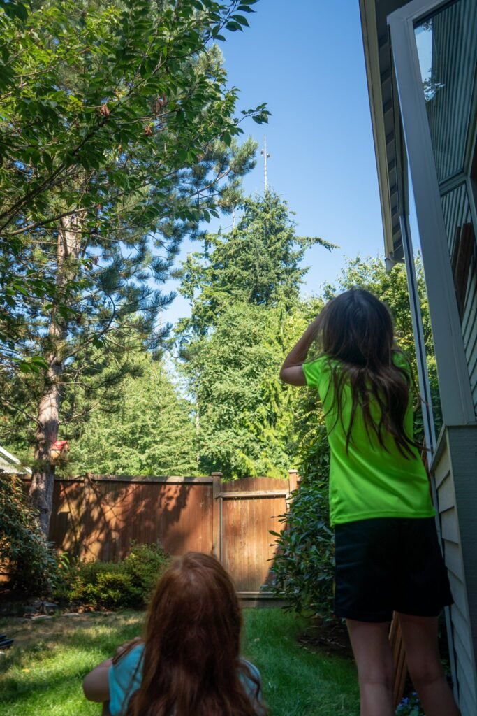 A person in a green shirt uses binoculars to view a bird in the tree while another person watches from the garden.
