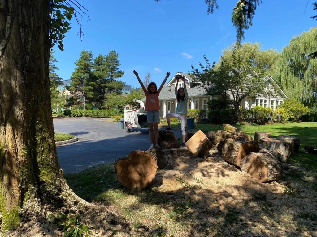 Two people jumping on a pile of logs with a dog in a sunny backyard and a house in the background.