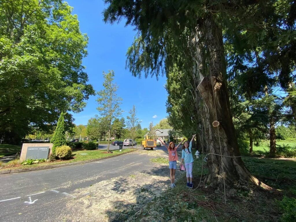 A family enjoys a sunny day at a park, gathering around a towering, ancient tree. Lush greenery surrounds the area under a clear blue sky.
