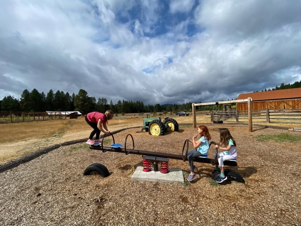 Children enjoying a seesaw on a farm playground under a cloudy sky.