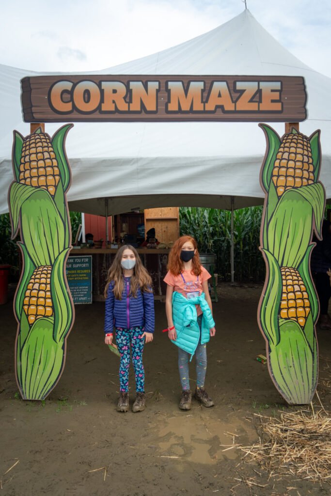 Two visitors wearing masks stand under a sign reading "Corn Maze" flanked by large corn decorations. A white tent structure provides a backdrop for the farm attraction.