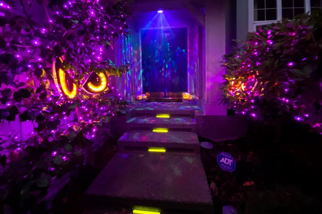 A twilight photo of a pathway illuminated by vibrant purple and blue LED lights and glowing yellow eyes.