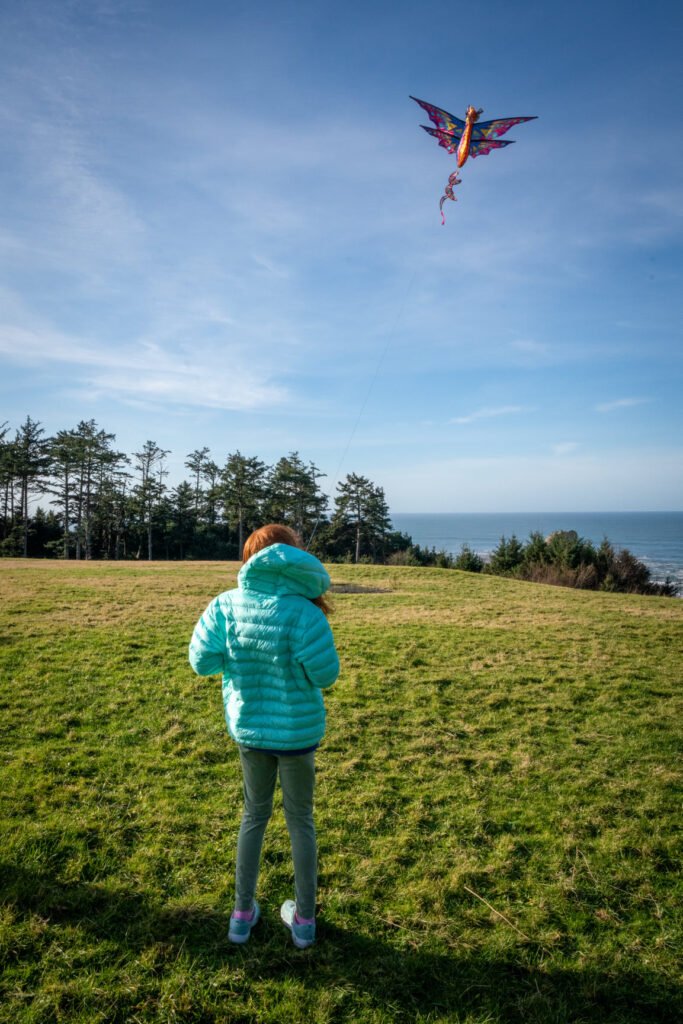 A person in a teal jacket flies a colorful dragon kite in a green field overlooking the ocean. Clear blue skies frame the scene with distant trees and coastline.