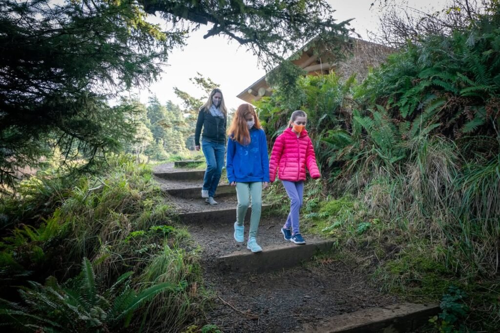A group of friends hiking down a lush, mossy stone staircase surrounded by ferns and trees.