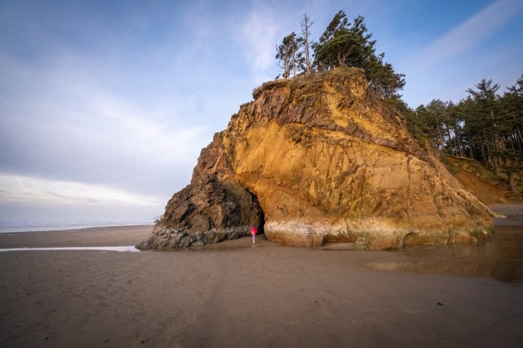 A prominent rock formation sits on a sandy Pacific Northwest beach, topped with trees against a blue sky in a collage view. The site features exposed golden cliffs meeting the shoreline.