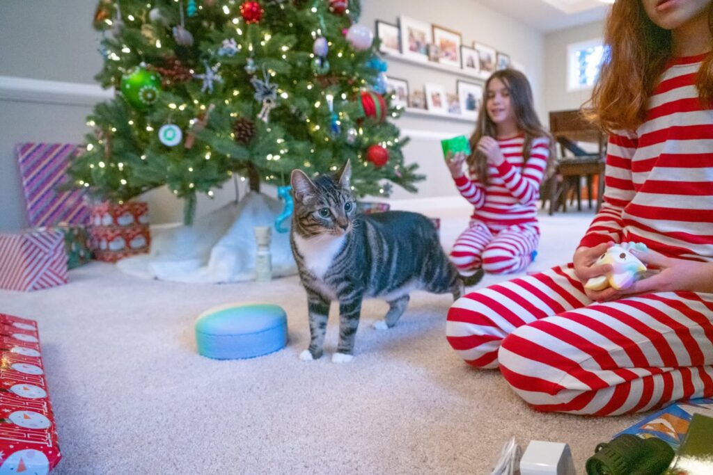 A festive Christmas scene with people in pajamas and a cat in front of a decorated tree.