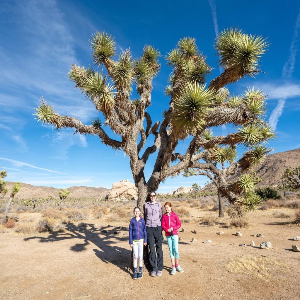 Three people standing next to a large Joshua tree in a desert landscape.