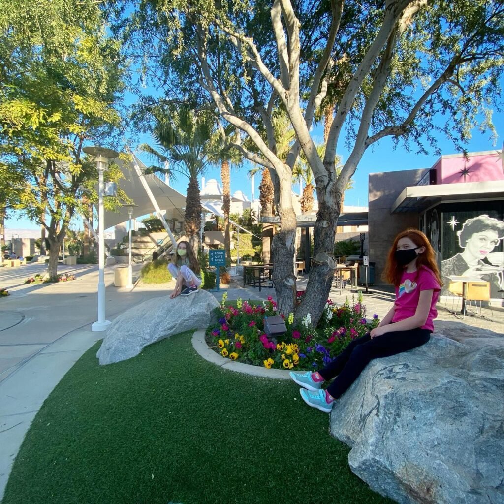 A visitor sits on a boulder in the Palm Springs Aerial Tramway garden with lush greenery and bright flowers.